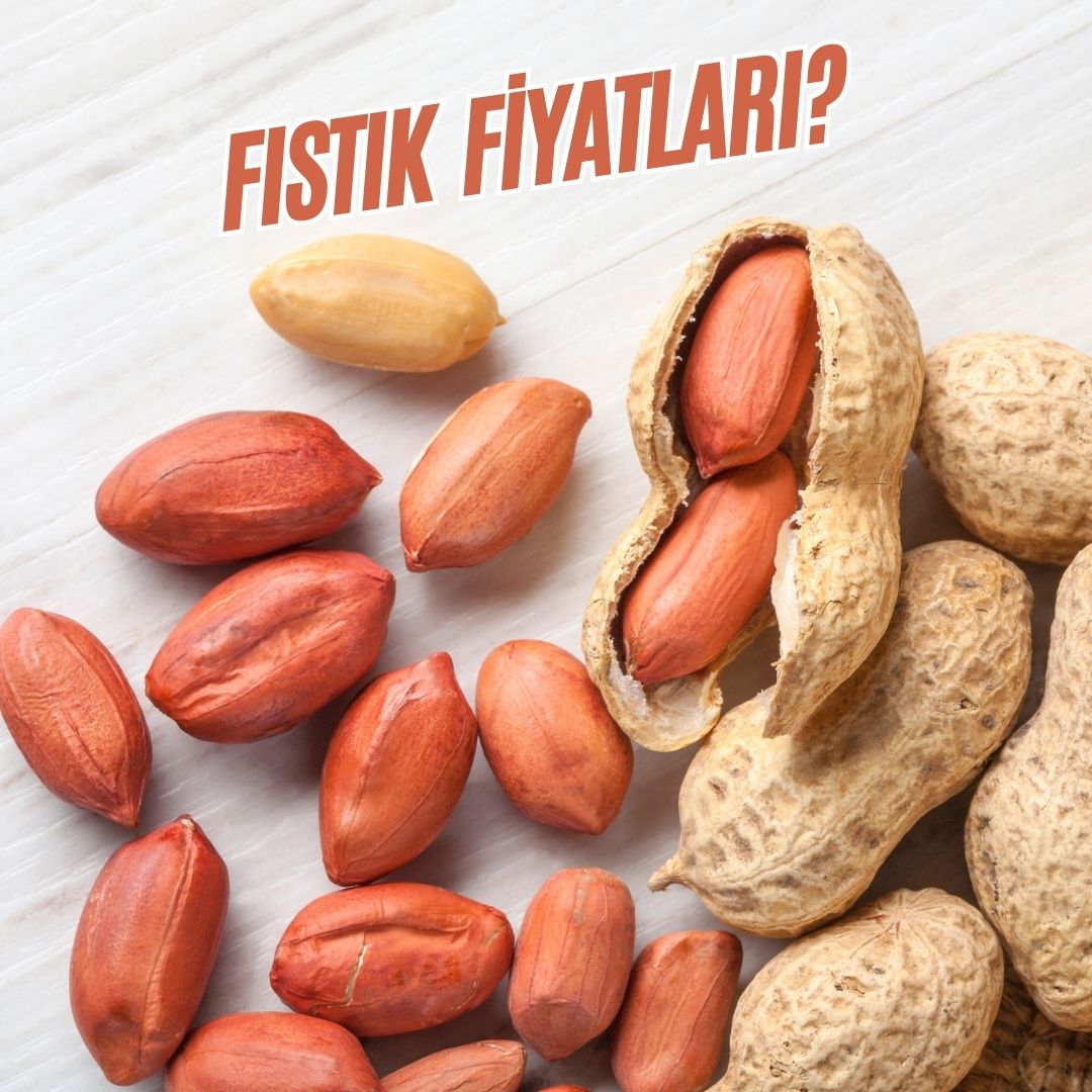 Fıstık Fiyatları?